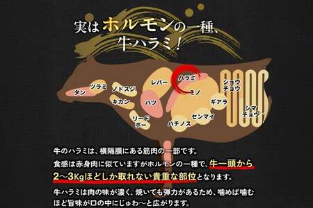 牛肉 焼肉 国産 特製たれ漬 牛ハラミ サガリ 250g [宇美ホルモン 福岡県 宇美町 um40azp100002]