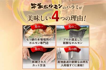牛肉 焼肉 国産 特製たれ漬 牛ハラミ サガリ 250g [宇美ホルモン 福岡県 宇美町 um40azp100002]