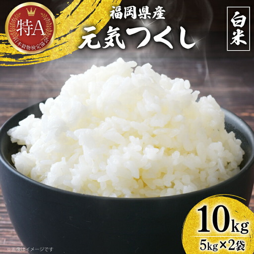 白米 精米 令和7年 元気つくし 5kg 2袋 [um40azp190011]