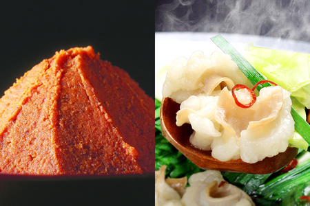 もつ鍋 セット 味噌 4～6人前 [ベネフィス 福岡県 宇美町 um40azp190024]