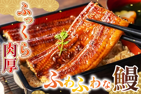 うなぎ 蒲焼 特大サイズ 肉厚 約 1.1kg 3尾 タレ・山椒付 茶葉蒸し [大黒物産 福岡県 宇美町 um40bak830001] 鰻 ウナギ 小分け うなぎ蒲焼 鰻蒲焼き 訳あり 蒲焼き かば焼き 茶葉蒸しうなぎ 真空パック 個包装 冷凍 unagi