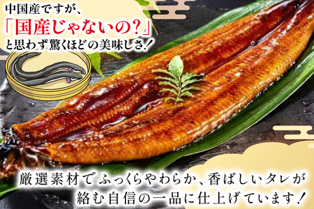 うなぎ 蒲焼 特大サイズ 肉厚 約 1.1kg 3尾 タレ・山椒付 茶葉蒸し [大黒物産 福岡県 宇美町 um40bak830001] 鰻 ウナギ 小分け うなぎ蒲焼 鰻蒲焼き 訳あり 蒲焼き かば焼き 茶葉蒸しうなぎ 真空パック 個包装 冷凍 unagi