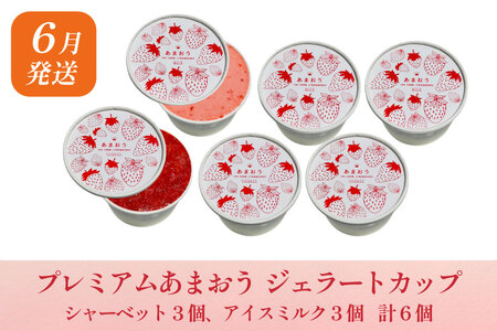 いちご あまおう 満喫セット 定期便 3回 [um40azo780015]