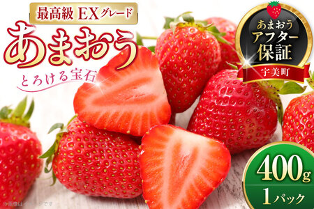 いちご あまおう プレミアムEX 400g 1パック 化粧箱入り いちご [um40azo780014]