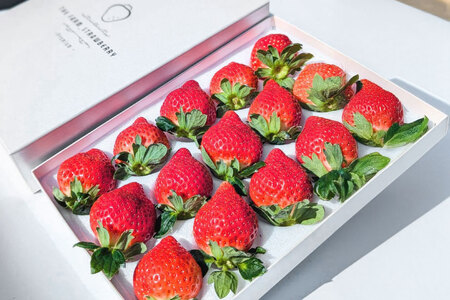 いちご あまおう プレミアムEX 400g 1パック 化粧箱入り いちご [um40azo780014]