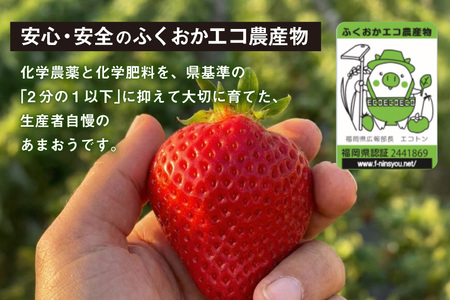 あまおう いちご 約250g × 2P 3月上旬 4月下旬 [一千也フーズ 福岡県 宇美町 um40azp140006] 