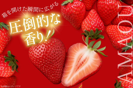 あまおう いちご 約250g×4P 3月上旬 4月下旬 [一千也フーズ 福岡県 宇美町 um40azp140005] 