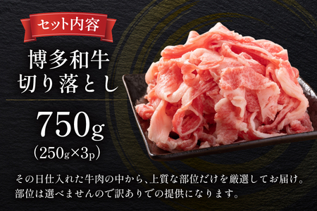 牛肉 訳あり A4 A5 博多和牛 切り落とし 250g 3p 計750g [木村食品 福岡県 宇美町 um40beg040037] 