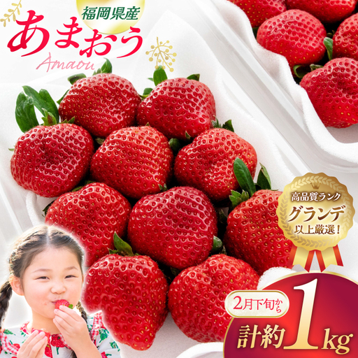 いちご あまおう 270g 4p 計約1kg【2月後半-3月後半発送】[hurrah. 福岡県 宇美町 um40bjm200000]