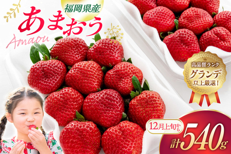 いちご あまおう 270g 2p 計540g【12月発送】[hurrah. 福岡県 宇美町 um40bjm200005]