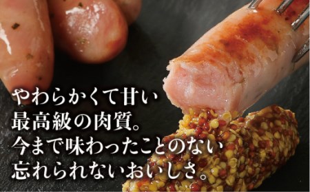 錦雲豚バラエティセット ／ ウインナー パストラミローフ ハム 角煮 粗挽き 福岡県 特産　EZ001