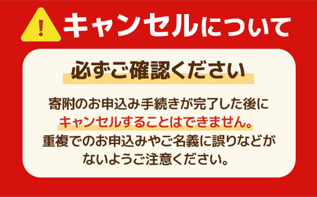 EZ003　牛焼肉味付けセット ／ やきにく 焼き肉 ハラミ カルビ 福岡県 特産