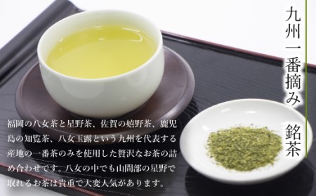 西福製茶九州一番摘み銘茶飲みくらべセット（5本セット）　MZ001