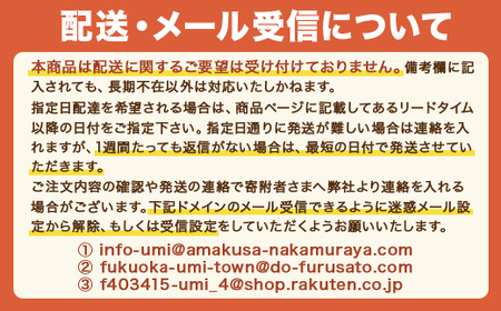 六蔵　博多明太もつ鍋セット　2～3人前　SY004