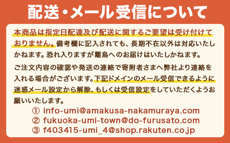 老舗肉屋のこだわりA4等級以上の博多和牛入りハンバーグ 150g×5枚 約750g　DY005