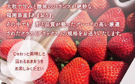 あまおうデラックス（2パック）先行予約　※2025年2月上旬～4月上旬にかけて順次出荷予定　MY001