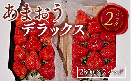 あまおうデラックス（2パック）先行予約　※2025年2月上旬～4月上旬にかけて順次出荷予定　MY001