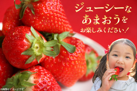 【期間限定発送】 いちご 定期便 あまおう 3パック 3回 総計9パック [THE FARM_strawberry 福岡県 宇美町 um40azo780004]