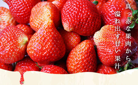 いちご あまおう ボリューム セット 6p いちご [um40azo780006]
