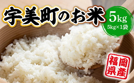 「高評価！」注目のレビュ 宇美町のお米 ふるさと納税サイト | 福岡県宇美町 | HZ003 5Kg 米・雑穀・粉類
