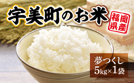 楽天市場】福岡県産 極源流米 5kg 30kg 元気つくし 最高品質