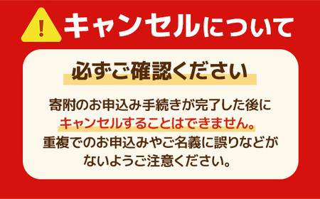 福岡産あまおう冬2パック 先行予約※2024年12月上旬から2025年1月下旬に順次発送予定 AX001 