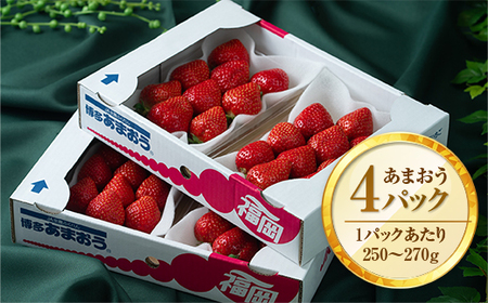 いちご あまおう 冬 4パック いちご [um40azo970001]