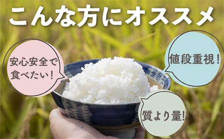 無洗米 我が家のお米  12㎏ ブレンド米 1等米含む　お米 米 精米 ご家庭用　TY035