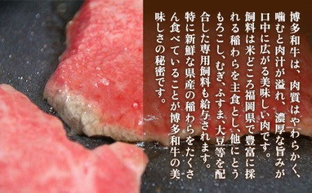 牛肉 モモステーキ 博多和牛 特選 霜降り 2～3枚 牛肉 [um40azo690003]