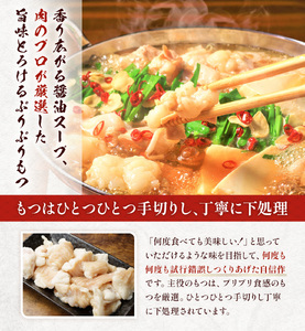 もつ鍋 博多醤油もつ鍋 3～4人前 セット [MEAT PLUS 福岡県 宇美町 um40azp010013]