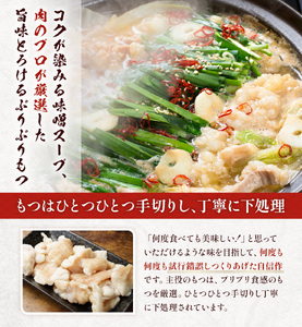 もつ鍋 博多味噌もつ鍋 3～4人前 セット [MEAT PLUS 福岡県 宇美町 um40azp010015]