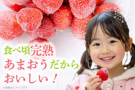 【先行受付】 いちご 冷凍 完熟 あまおう 2kg [ストロベリーファーム 福岡県 宇美町 um40azp070000]