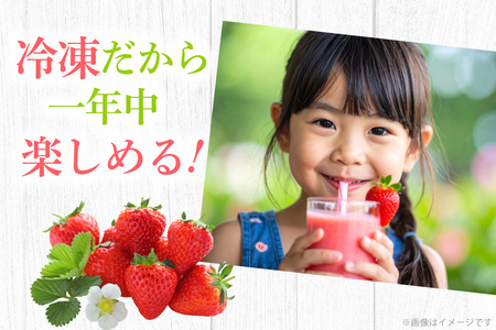 【先行受付】 いちご 冷凍 完熟 あまおう 2kg [ストロベリーファーム 福岡県 宇美町 um40azp070000]