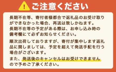 福岡産あまおう12-15粒ギフト 先行予約※2024年11月下旬～2025年4月上旬にかけて順次発送予定 AX015