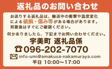 福岡産あまおう12-15粒ギフト 先行予約※2024年11月下旬～2025年4月上旬にかけて順次発送予定 AX015