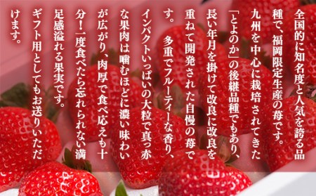 いちご あまおう 24～30粒 いちご [um40azo970008]