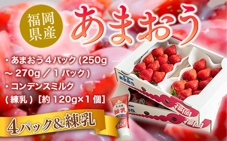 福岡産あまおう４パック＆練乳 先行予約※2024年11月下旬～2025年4月上旬にかけて順次発送予定 AX018