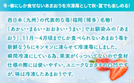 いちご 冷凍 福岡産 冷凍あまおう 500g 3p 計1.5kg [南国フルーツ 福岡県 宇美町 um40azo970018]