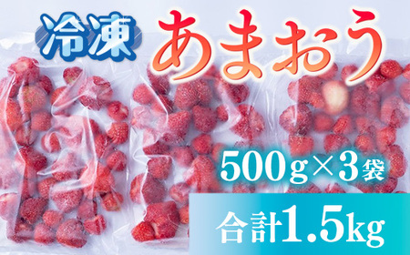いちご 冷凍 福岡産 冷凍あまおう 500g 3p 計1.5kg [南国フルーツ 福岡県 宇美町 um40azo970018]
