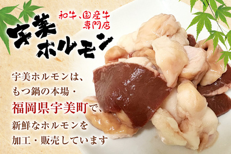 もつ鍋 ホルモン専門店 国産牛 もつ鍋セット 醤油味 12人前 [宇美ホルモン 福岡県 宇美町 um40azp100000]