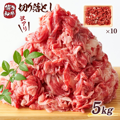 牛肉 切り落とし 訳あり 博多和牛 500g×10p 牛肉 [um40azp010023]