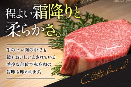 牛肉 A5等級 博多和牛 ヒレ シャトーブリアン ステーキ 4枚 520g [一千也フーズ 福岡県 宇美町 um40azp140000]