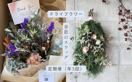 ドライフラワー季節の花定期便（年３回）（白・グリーン、ピンク、おまかせ）の3種よりランダムにお届け  XY003