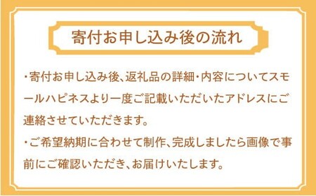 制服リメイク ワンピース(靴付き) KZ013