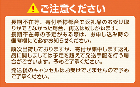 MZ051 うまかっちゃん　合計30袋