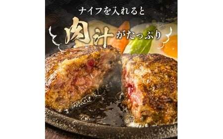 お肉屋さんが作った手ごねハンバーグ 100g×20個 VY008