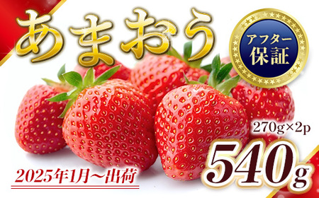 MZ056 福岡県産 あまおう 540g　先行予約 2025年1月～3月末にかけて順次発送予定