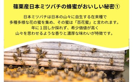 日本蜜蜂「ささぐり里山のはちみつ」（百花蜜）1000ｇ　AA002 