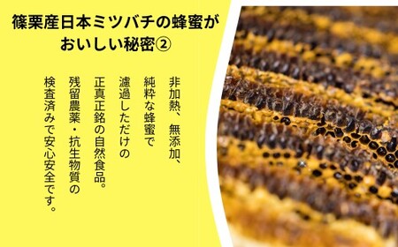 日本蜜蜂「ささぐり里山のはちみつ」（百花蜜）1000ｇ　AA002 