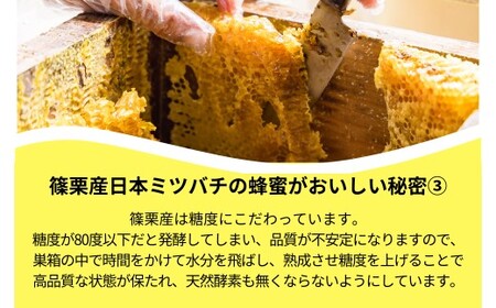 日本蜜蜂「ささぐり里山のはちみつ」（百花蜜）1000ｇ　AA002 